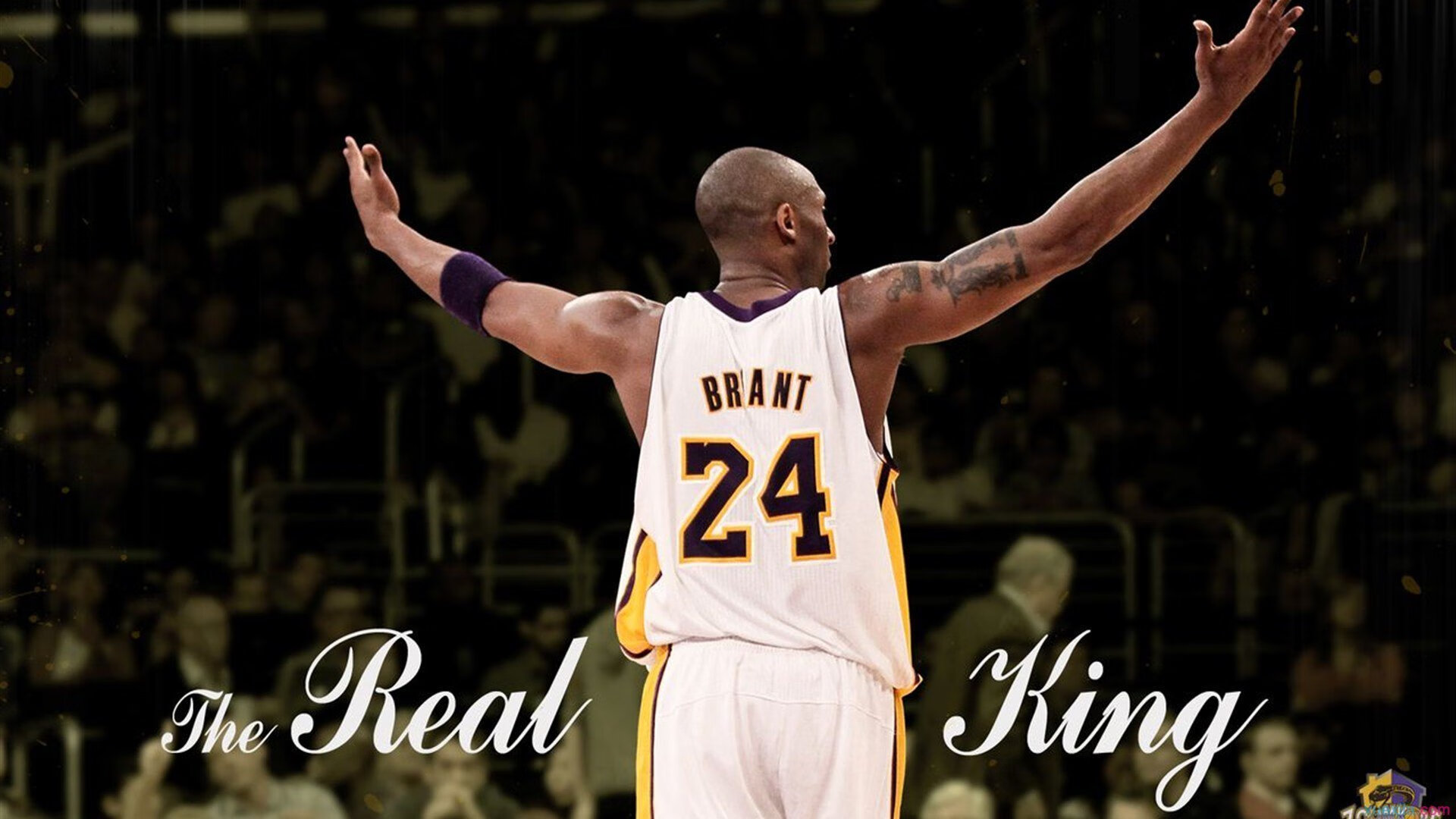 孤勇者阿隆索，一人扛起索伯绝地翻盘，逆袭迈凯伦的传奇战役